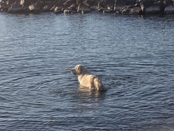 Agent Loki — Chef de la Sécurité